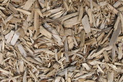 biomass boilers Ockeridge